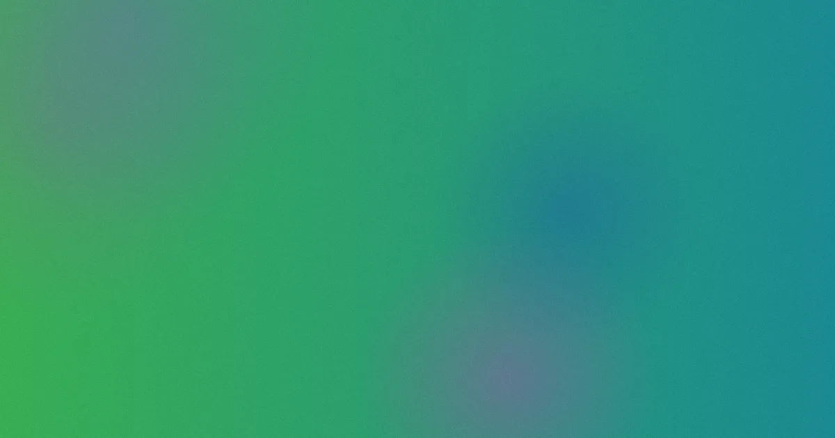 严立婷是什么？一文看懂
