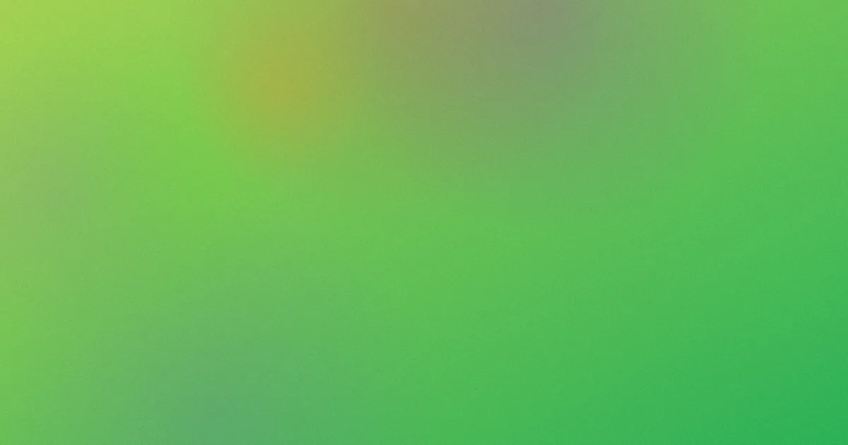 黄pian攻略：安全与合规对比